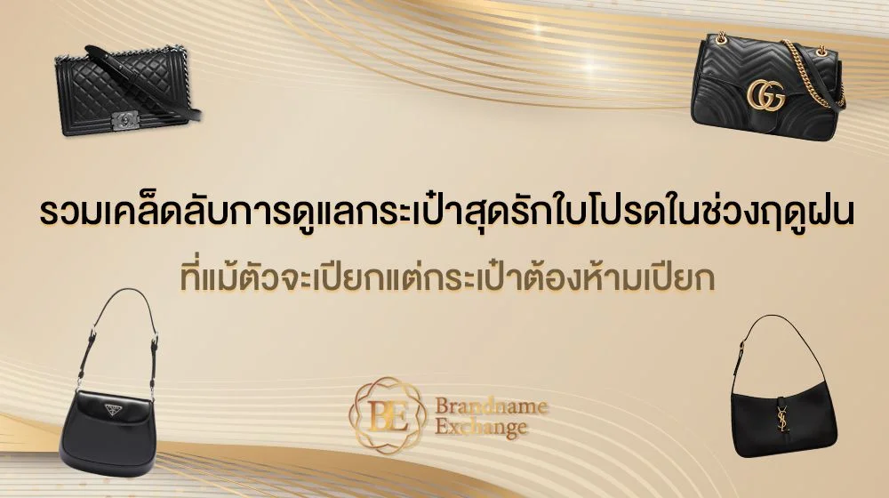 รวมเคล็ดลับการดูแลกระเป๋าสุดรักใบโปรดในช่วงฤดูฝน ที่แม้ตัวจะเปียกแต่กระเป๋าต้องห้ามเปียก